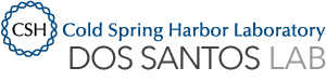 dos Santos Lab